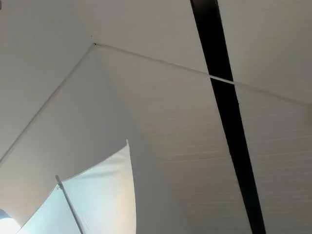 AmyKord – webcam model profile photo