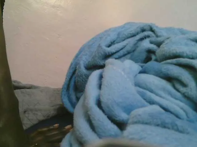 Starpettite – webcam model profile photo