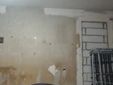 svetifox – webcam model profile photo