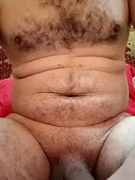 Arabian – webcam model profile photo